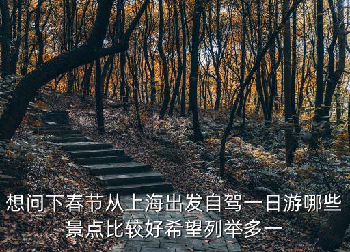 想問下春節(jié)從上海出發(fā)自駕一日游哪些景點(diǎn)比較好希望列舉多一