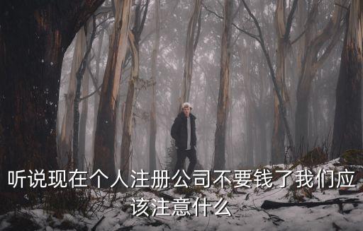 聽說現在個人注冊公司不要錢了我們應該注意什么