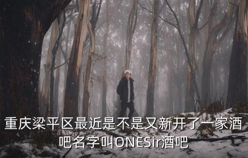 重慶市梁平區雙桂佳苑，重慶梁平區最近是不是又新開了一家酒吧名字叫ONESir酒吧