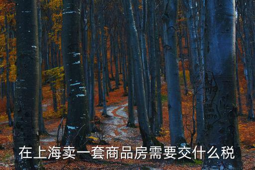 在上海賣一套商品房需要交什么稅
