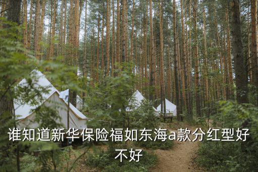 誰知道新華保險福如東海a款分紅型好不好