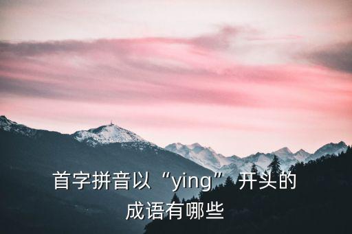 首字開頭的成語,第一夫人第一女人第二名字:不字!