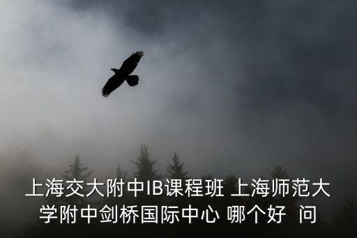 上海交大附中IB課程班 上海師范大學附中劍橋國際中心 哪個好  問