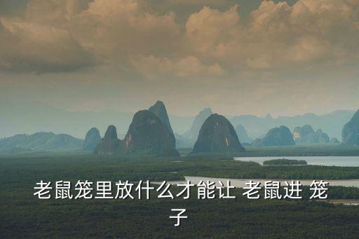  老鼠籠里放什么才能讓 老鼠進 籠子