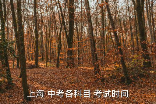 上海 中考各科目 考試時間