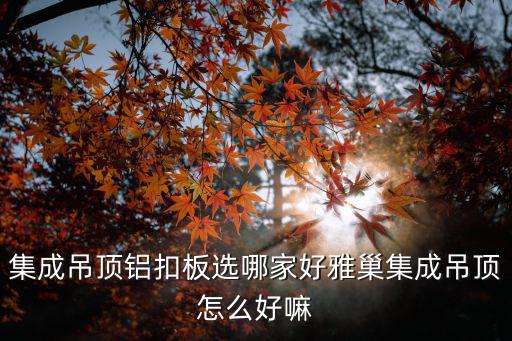 集成吊頂鋁扣板選哪家好雅巢集成吊頂怎么好嘛