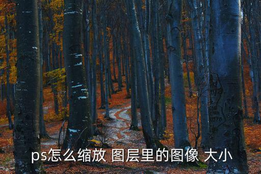  ps怎么縮放 圖層里的圖像 大小