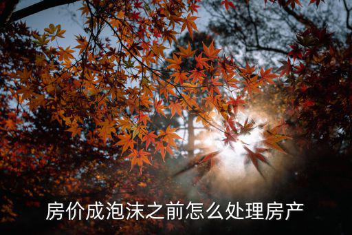 房?jī)r(jià)成泡沫之前怎么處理房產(chǎn)