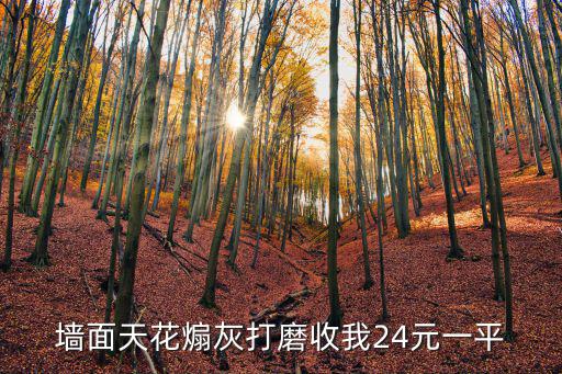 廣州墻面打磨微信群，墻面打磨機(jī)使用灰塵大不大