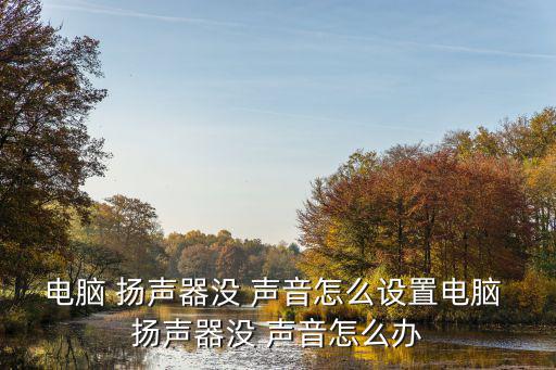 揚聲器沒聲音,揚聲器沒聲音怎么辦?點擊播放按鈕即可查看
