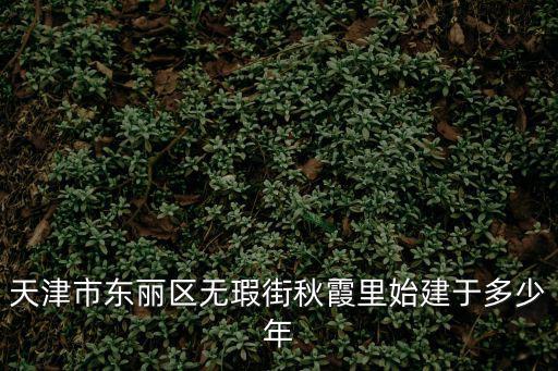 天津市東麗區(qū)無(wú)瑕街秋霞里始建于多少年