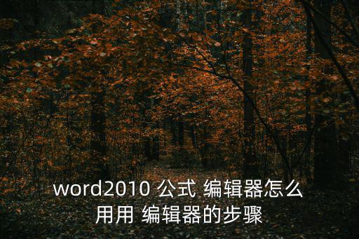 word2010 公式 編輯器怎么用用 編輯器的步驟