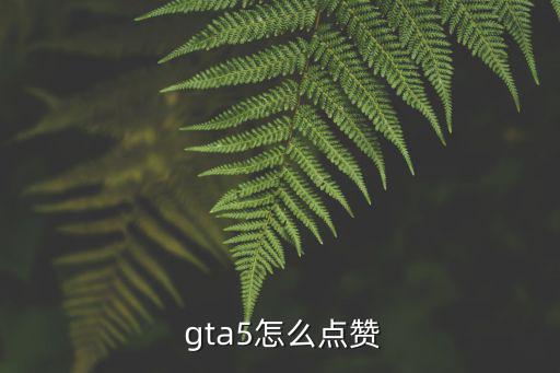  gta5怎么點贊