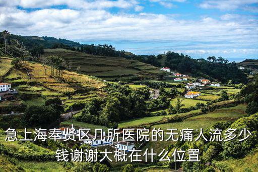 上海市奉賢區奉城鎮人民醫院，急上海奉賢區幾所醫院的無痛人流多少錢謝謝大概在什么位置