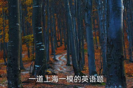 一道上海一模的英語題