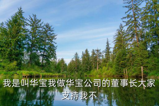 天津市華寶公司周總，天津市河西區(qū)解放南路613號(hào)里面有沒有華寶汽貿(mào)有限公司啊