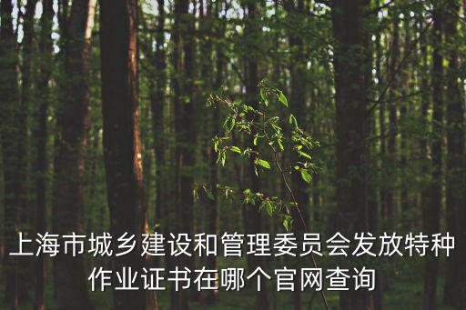上海市城鄉(xiāng)建設(shè)和管理委員會(huì)發(fā)放特種作業(yè)證書在哪個(gè)官網(wǎng)查詢
