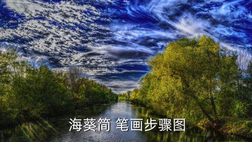 海葵簡(jiǎn)筆畫,海葵怎么畫最漂亮的圓?