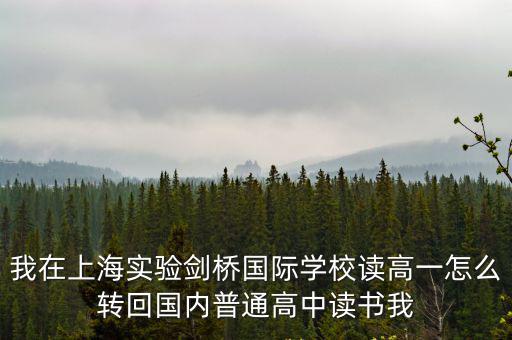 我在上海實(shí)驗(yàn)劍橋國(guó)際學(xué)校讀高一怎么轉(zhuǎn)回國(guó)內(nèi)普通高中讀書(shū)我