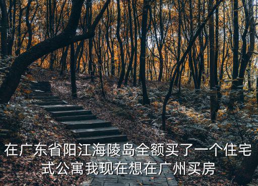 在廣東省陽江海陵島全額買了一個住宅式公寓我現在想在廣州買房