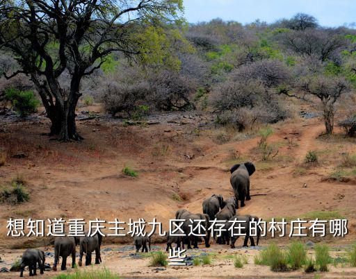 想知道重慶主城九區還存在的村莊有哪些