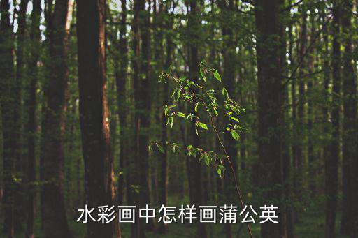 蒲公英簡筆畫，蒲公英的怎么畫