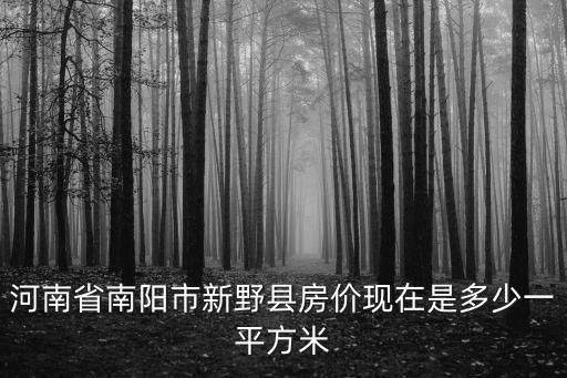 河南省南陽市新野縣房價現在是多少一平方米