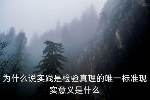 為什么說實踐是檢驗真理的唯一標準現實意義是什么