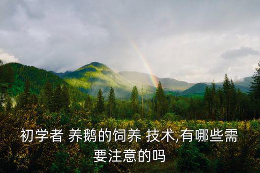 初學(xué)者 養(yǎng)鵝的飼養(yǎng) 技術(shù),有哪些需要注意的嗎