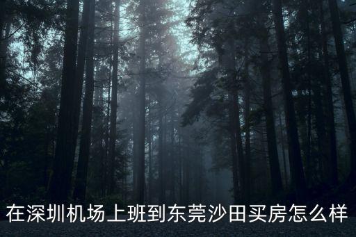 在深圳機場上班到東莞沙田買房怎么樣