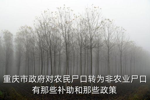重慶市政府對農(nóng)民尸口轉(zhuǎn)為非農(nóng)業(yè)尸口有那些補(bǔ)助和那些政策