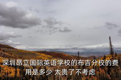 深圳昂立國(guó)際英語(yǔ)學(xué)校的布吉分校的費(fèi)用是多少 太貴了不考慮