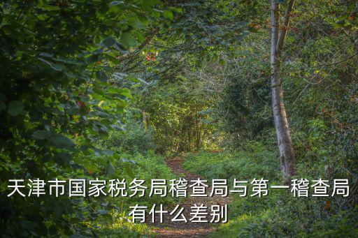 天津市稅務稽查大隊長，市地稅稽查局辦公室主任什么級別