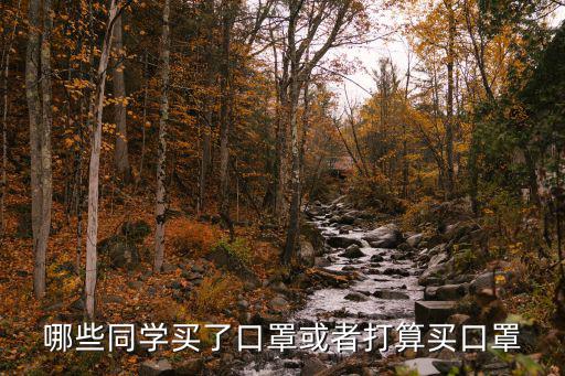 哪些同學買了口罩或者打算買口罩