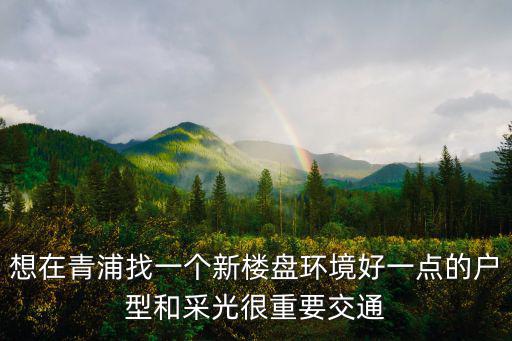 想在青浦找一個新樓盤環境好一點的戶型和采光很重要交通
