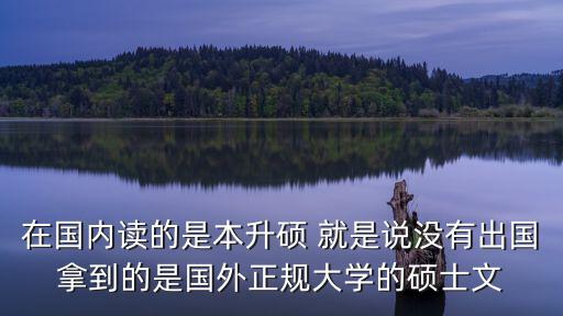 在國內讀的是本升碩 就是說沒有出國拿到的是國外正規大學的碩士文