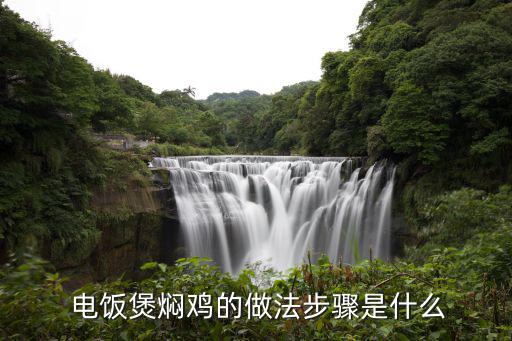  電飯煲燜雞的做法步驟是什么