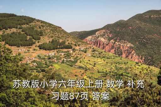 六上數學補充習題答案,一文讀懂!本屆大選答案
