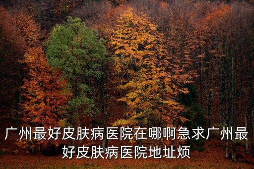 廣州最好皮膚病醫(yī)院在哪啊急求廣州最好皮膚病醫(yī)院地址煩