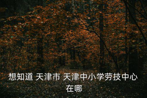 想知道 天津市 天津中小學(xué)勞技中心 在哪