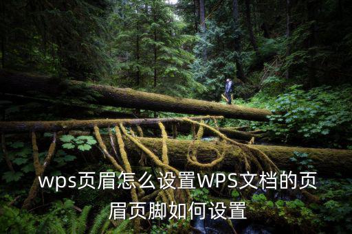 wps頁(yè)眉頁(yè)腳,怎么用頁(yè)眉頁(yè)腳修改文字?