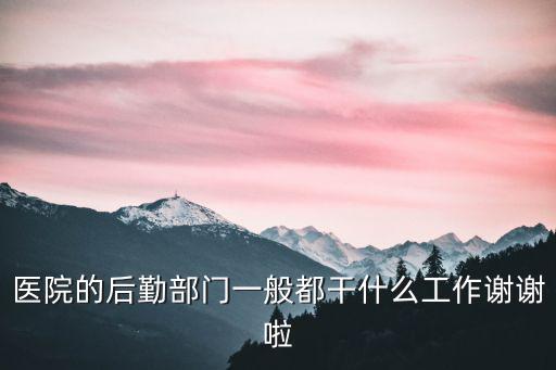 醫院的后勤部門一般都干什么工作謝謝啦