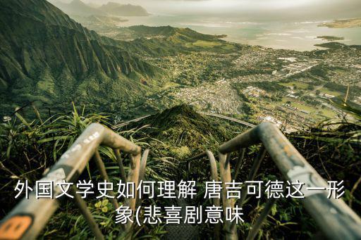 外國文學史如何理解 唐吉可德這一形象(悲喜劇意味