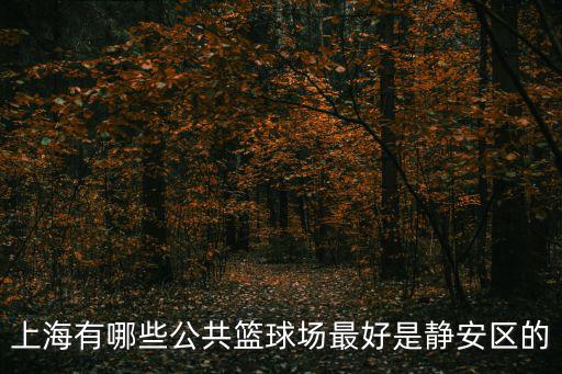 上海有哪些公共籃球場最好是靜安區的
