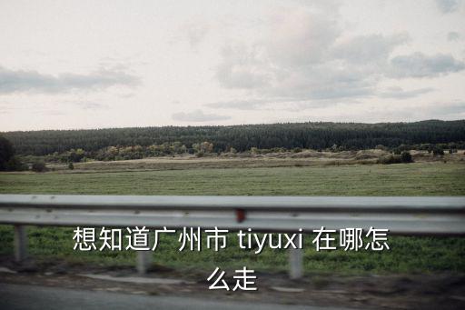 廣州白天鵝賓館地址怎樣走，白天鵝賓館在廣州哪個區