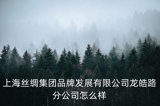 上海絲綢集團品牌發展有限公司龍皓路分公司怎么樣
