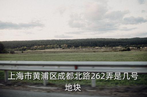 上海市黃浦區成都北路262弄是幾號地塊