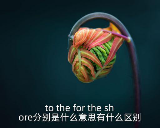 to the for the shore分別是什么意思有什么區(qū)別