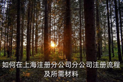 如何在上海注冊分公司分公司注冊流程及所需材料