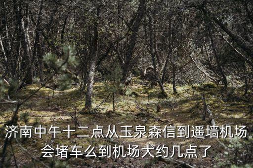 濟(jì)南中午十二點(diǎn)從玉泉森信到遙墻機(jī)場(chǎng)會(huì)堵車么到機(jī)場(chǎng)大約幾點(diǎn)了